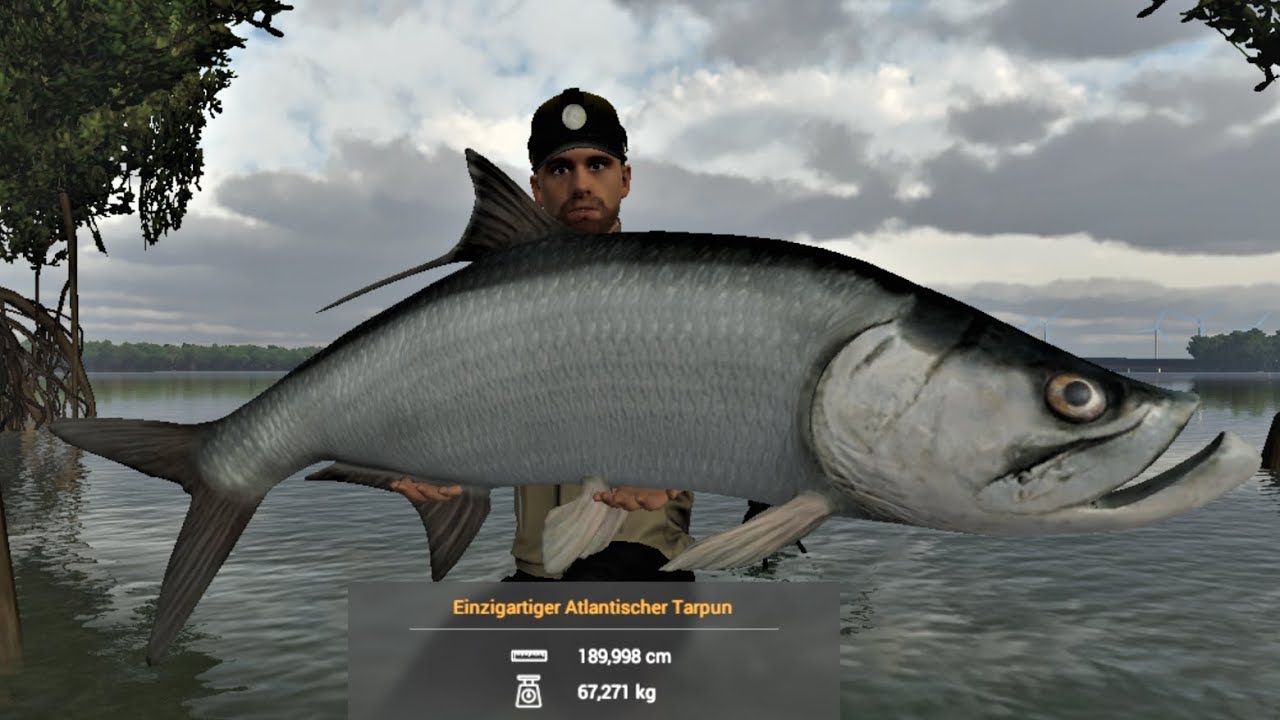 Peces de agua salada